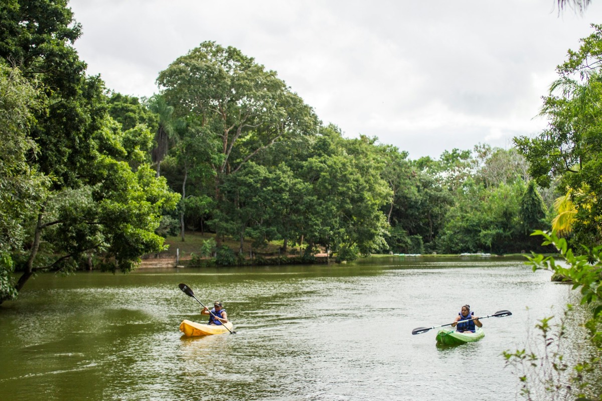Rent a kayak in Punta Gorda at Ponce de Leon Park